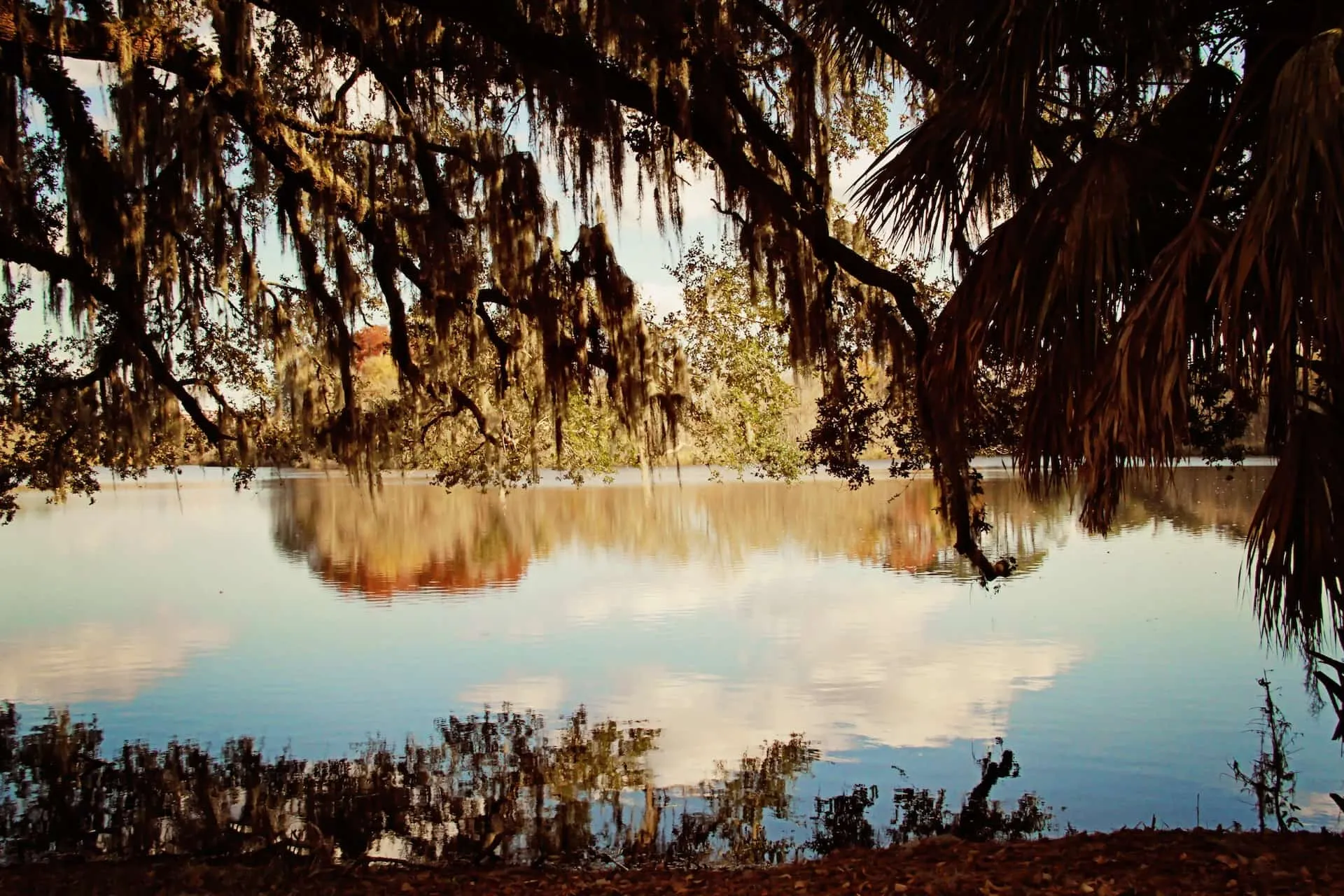 North Central Florida lake landscape beneath live oak trees